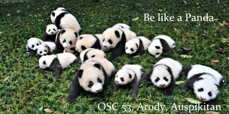 File:OSC 53 logo.jpg